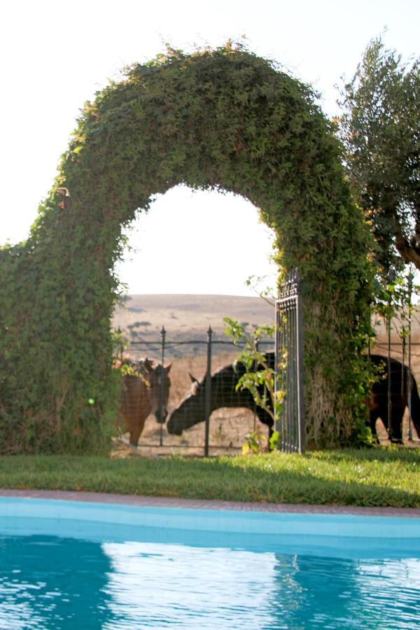 Monte Da Contenda Campo Maior Luaran gambar